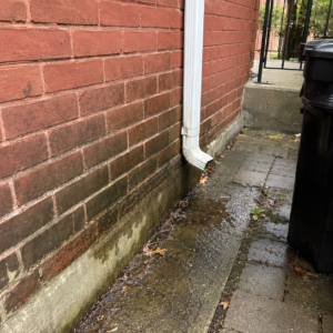 Drainage issue causing damp brick near a Toronto home foundation.