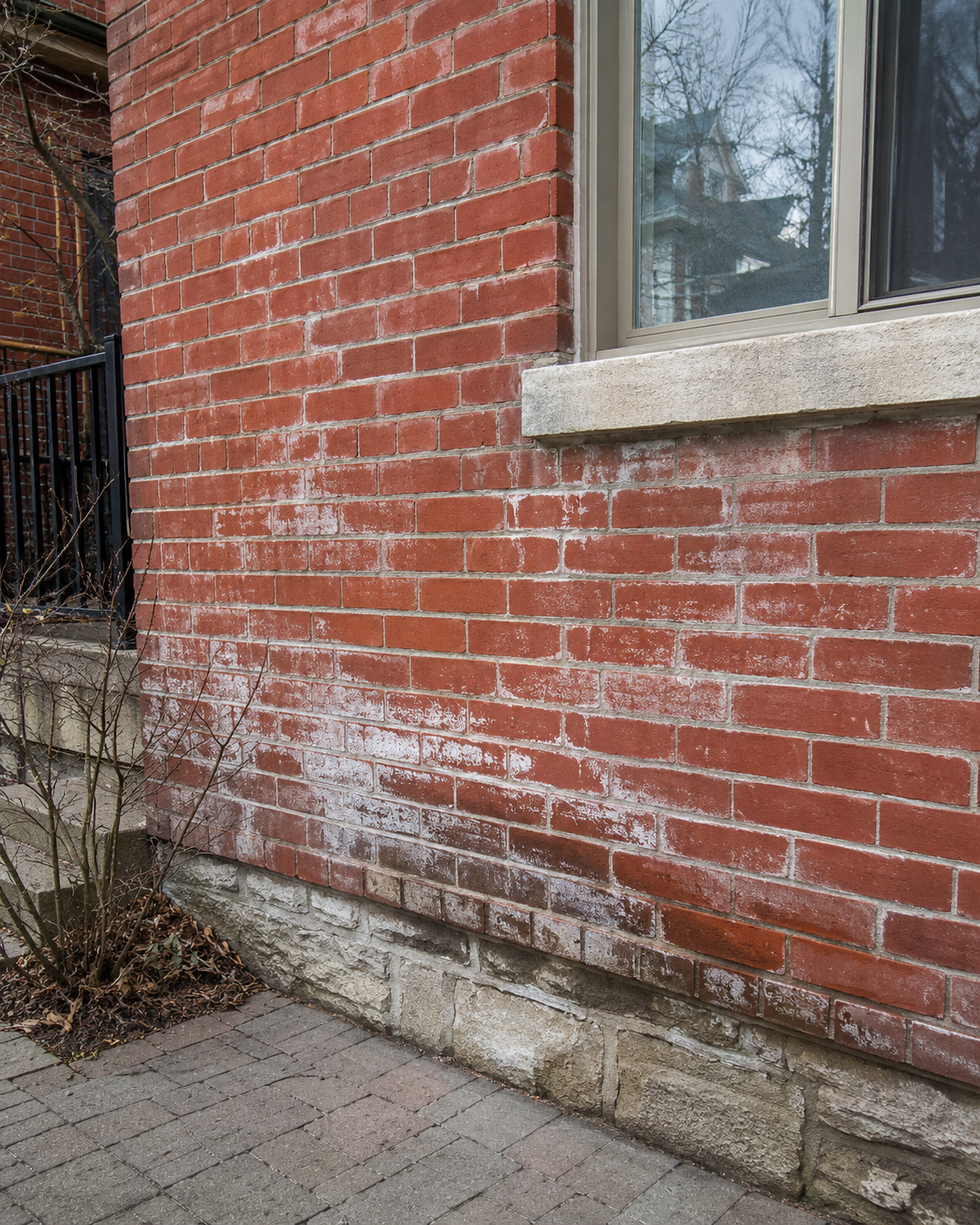 Brick wall with white staining and efflorescence caused by moisture in the masonry