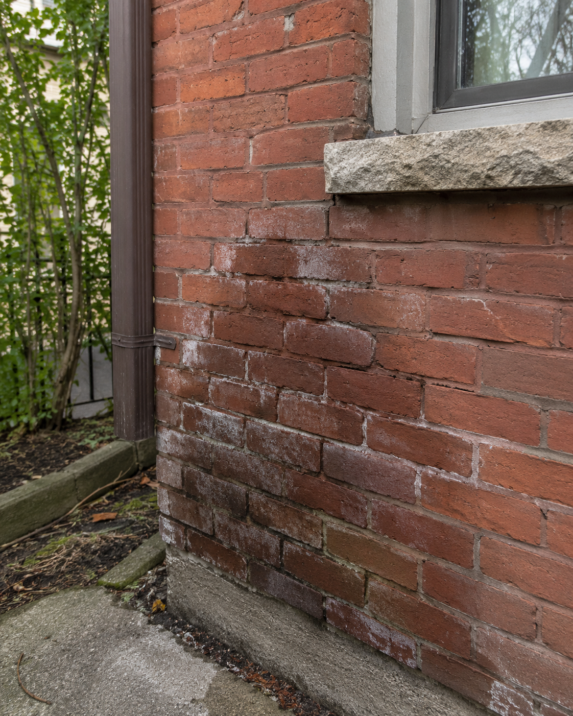 Brick wall showing water damage with damp masonry, staining, and weakened mortar