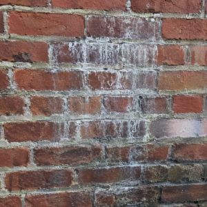 White staining and damp marks around failing mortar joints.