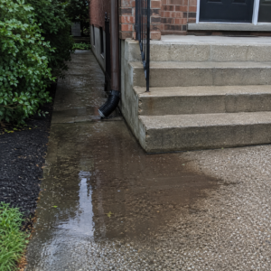 Water pooling near concrete steps and walkway after rain.
