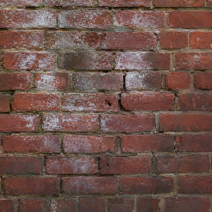 Efflorescence and damp staining on an older Toronto brick wall.