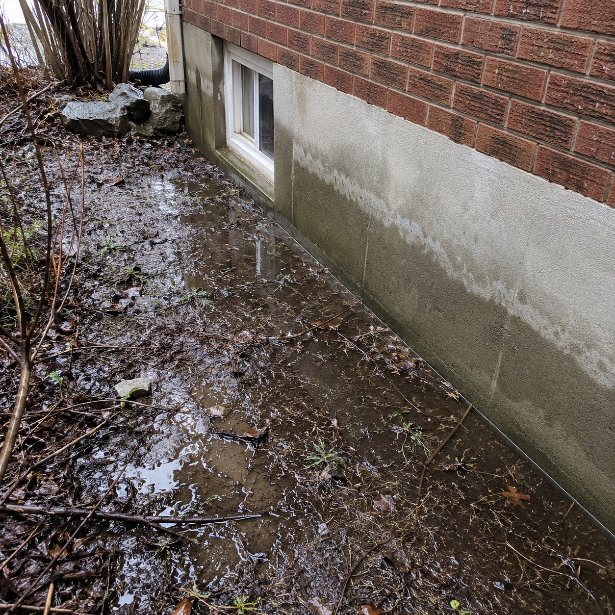 Wet areas beside a Toronto home after heavy rain or snowmelt